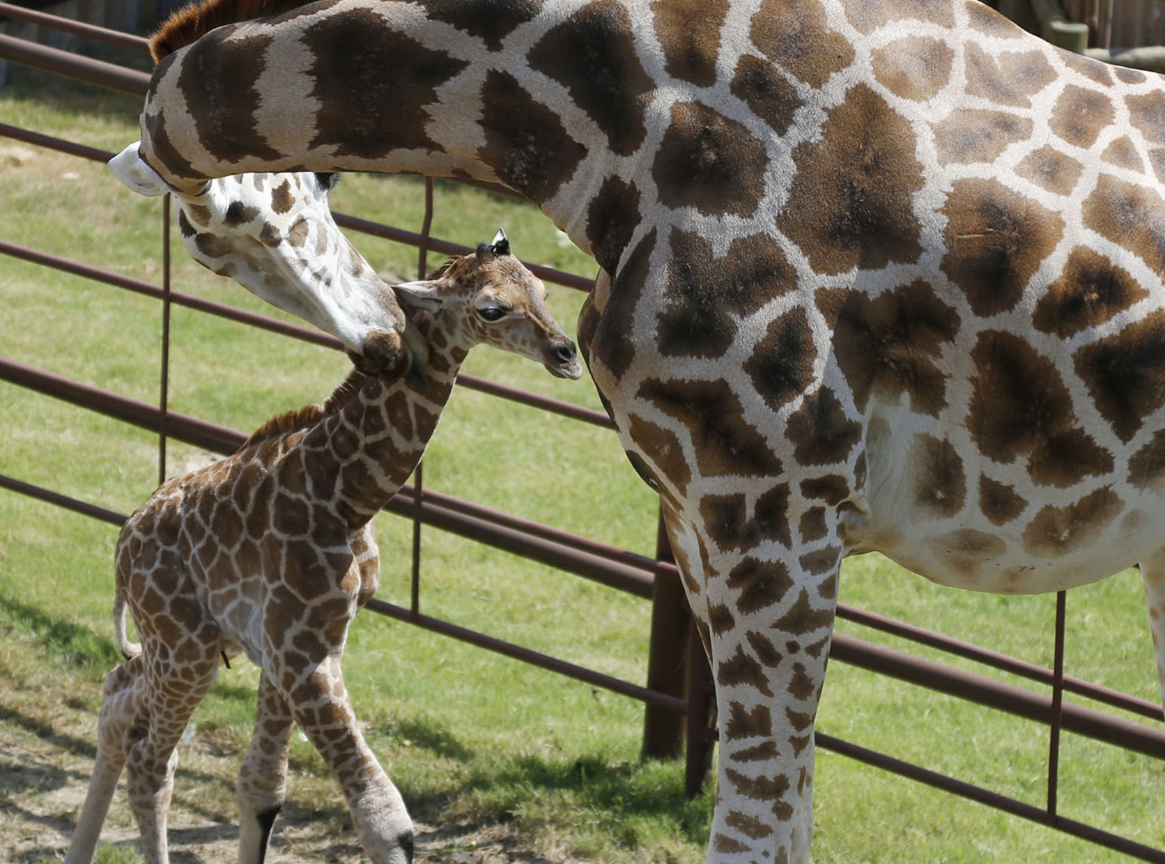 Tulsa Zoo